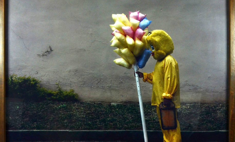 1 - Obra_Juliana Stein ? ?Nada Parece Ser Verdadeiro que Na?o Possa Parecer Falso" - Foto: Juliana Stein