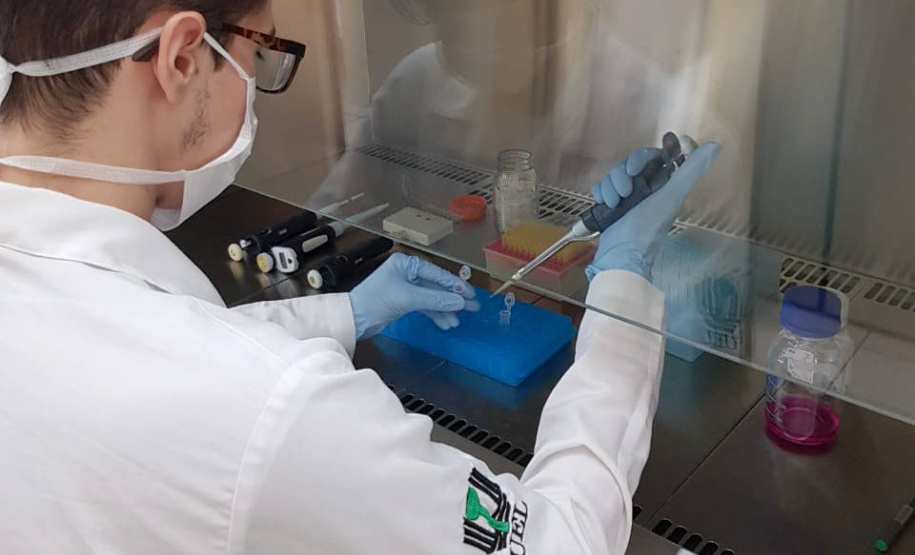 Levantamento realizado pela Pró-reitoria de Pesquisa e Pós-graduação (PROPPG) da UEL demonstrou que desde o início da pandemia, em março de 2020, até a última semana deste mês (26 de abril), foram concluídos 1.321 trabalhos, dissertações e teses em várias áreas do conhecimento. Nos últimos 13 meses, a UEL formou 141 novos doutores, 402 mestres e 778 especialistas.  -  Londrina, 27/04/2021  -  Foto: UEL