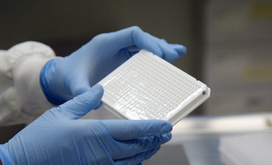 A Sesa recebeu da Fundação Oswaldo Cruz (Fiocruz) o resultado do sequenciamento genômico de mais 23 amostras do coronavírus. As análises são realizadas com o objetivo de monitorar, reconhecer e definir os grupos genéticos virais que estão circulando nas regiões. O resultado foi apresentado na última sexta-feira, dia 23. - Curitiba, 27/04/2021 - Foto: Amércio Antonio SESA