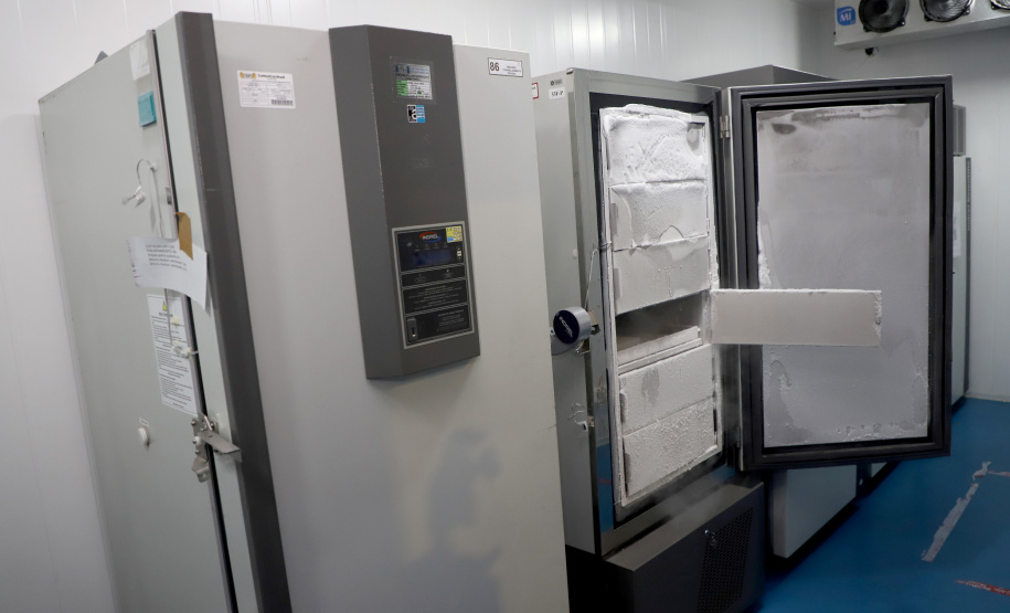 São 303.000 doses da Covishield, da Universidade de Oxford/Astrazeneca/Fiocruz, e 6.200 doses da Coronavac. Doses serão distribuídas às 22 Regionais do Paraná a partir das 8h desta sexta-feira (29). Foto: Ari Dias/AEN