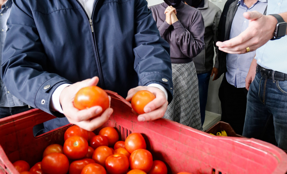 O governador Carlos Massa Ratinho Junior acompanha a entrega nesta sexta-feira (30), de cerca de 50 mil quilos de produtos arrecadados junto aos permissionários, atacadistas e produtores no Ceasa. Foto: Jonathan Campos