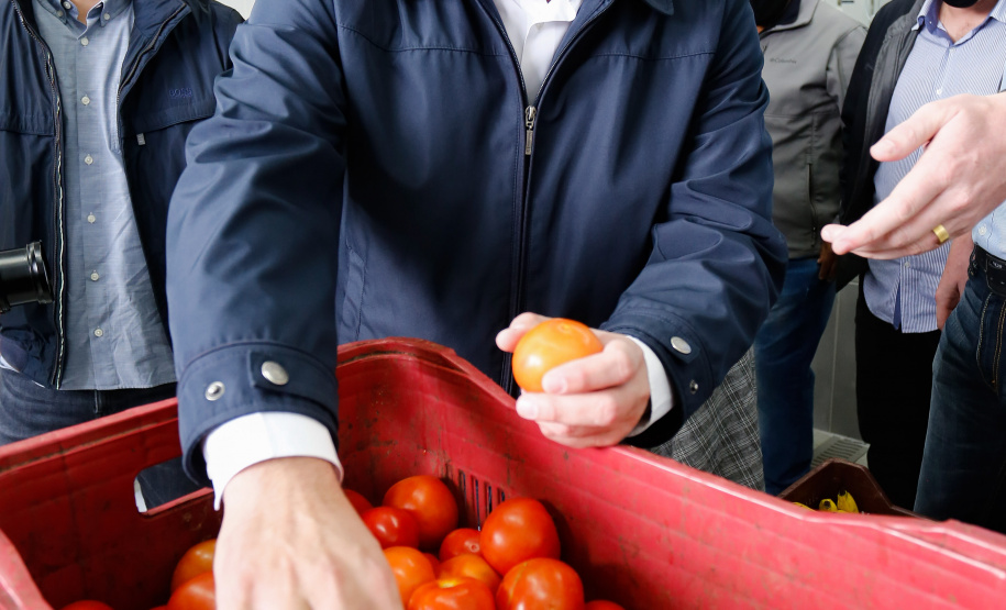 O governador Carlos Massa Ratinho Junior acompanha a entrega nesta sexta-feira (30), de cerca de 50 mil quilos de produtos arrecadados junto aos permissionários, atacadistas e produtores no Ceasa. Foto: Jonathan Campos