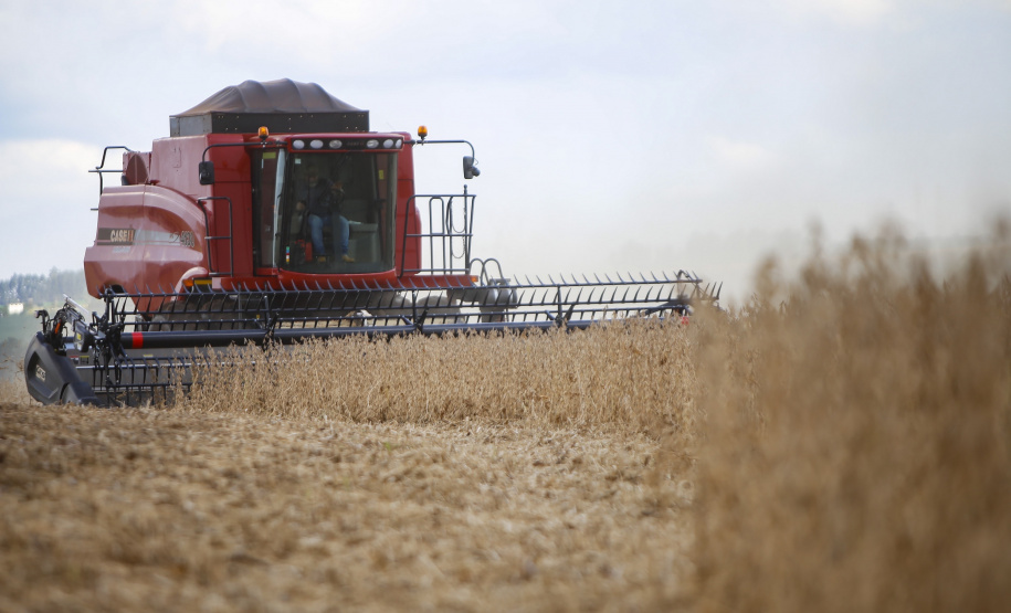 O Paraná poderá produzir 40,6 milhões de toneladas de grãos, em uma área de 10,4 milhões de hectares, na safra 2020/2021. As informações são do relatório mensal divulgado nesta quinta-feira (29) pelo Departamento de Economia Rural (Deral), da Secretaria de Estado da Agricultura e do Abastecimento. - Curitiba, 30/04/2021 -
- Foto: Gilson Abreu/AEN