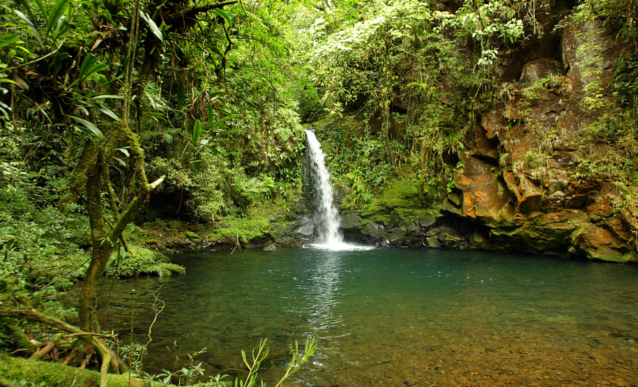 O Instituto Água e Terra (IAT), órgão vinculado à Secretaria do Desenvolvimento Sustentável e do Turismo, foi o vencedor da 27ª edição do Prêmio Expressão de Ecologia na categoria Recuperação de Áreas Degradadas.- Curitiba, 03/05/2021 - Foto: Divulgação SEDEST