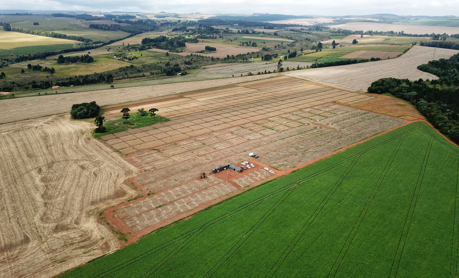 Em Ponta Grossa, Exército vistoria local de possível instalações da Escola de Sargentos de Armas - ESA. Ponta Grossa, 13 de abril de 2021.Foto: José Fernando Ogura/ AEN