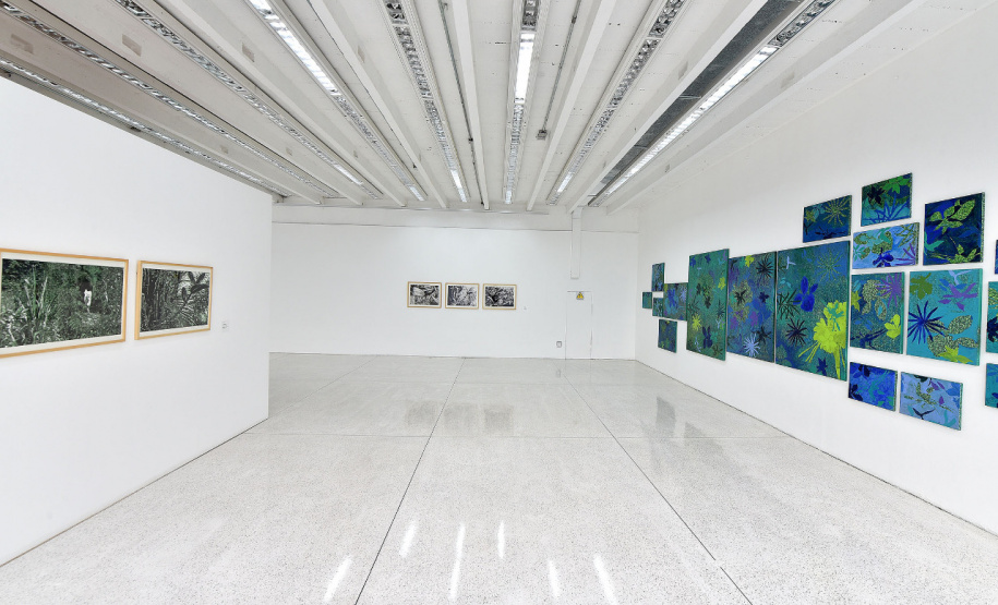 MON e MAC Paraná reabrem ao público com protocolos de segurança e novas exposições. Foto:SECC