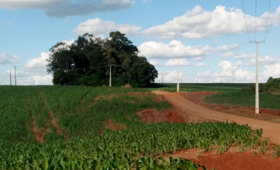 Vale do Ivaí recebe novas redes do Paraná Trifásico
. Foto: Copel