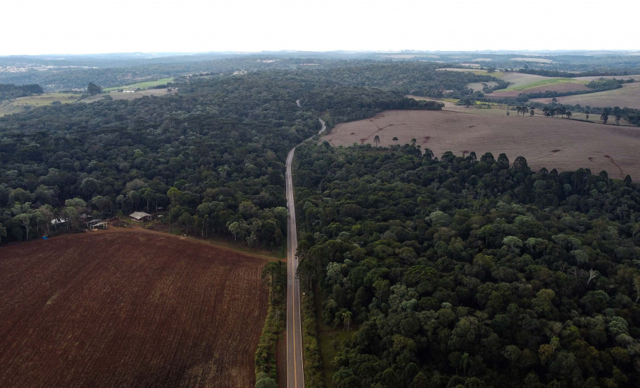 O governador Carlos Massa Ratinho Junior entregou nesta quinta-feira (06) as obras de pavimentação e recape asfáltico da Rodovia Municipal João Maria de Jesus, em Turvo, na Região Central do Paraná.Foto: Jonathan Campos/AEN