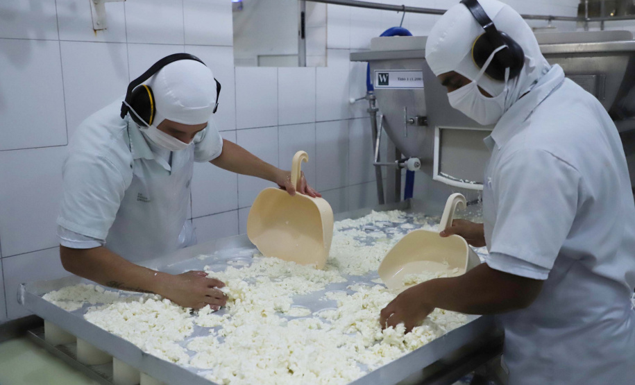 Paraná foi 5º estado com maior número de vagas abertas por pequenos negócios. Foto: José Fernando Oura/AEN