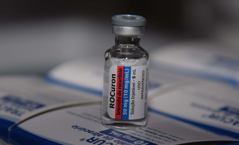 Foto: Américo Antonio/SESA