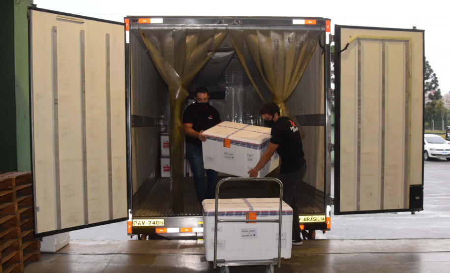 Foto: Américo Antonio/SESA