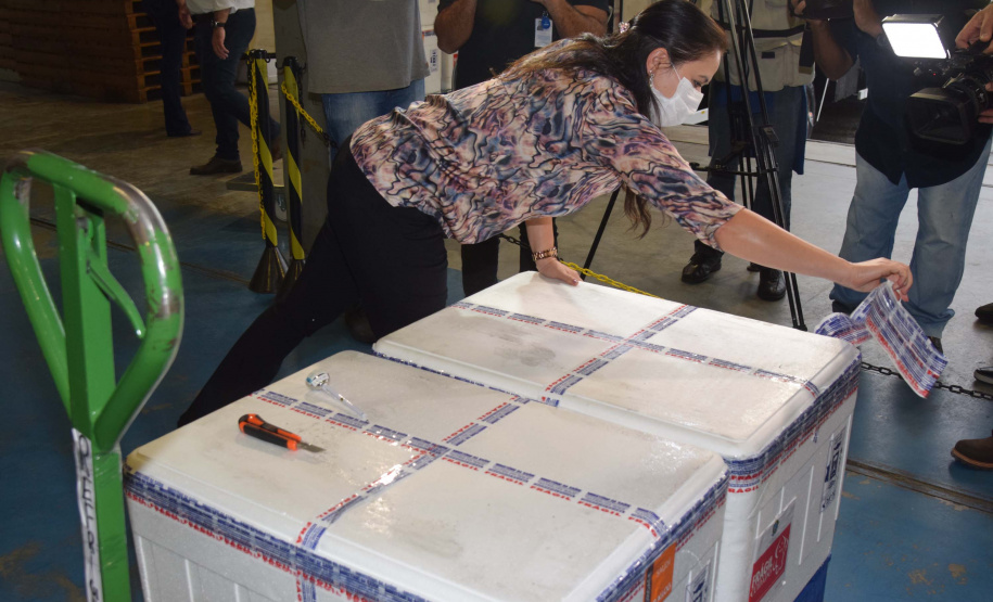 Foto: Américo Antonio/SESA