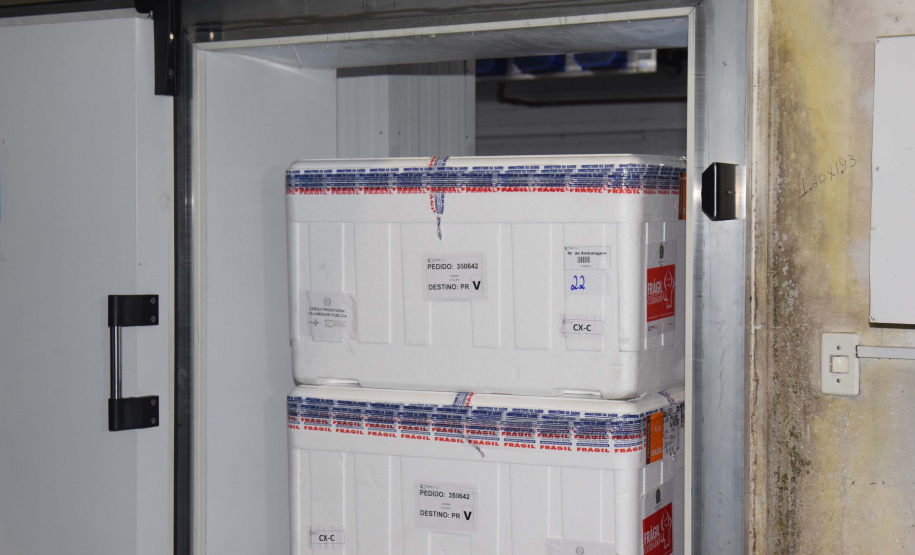 Foto: Américo Antonio/SESA