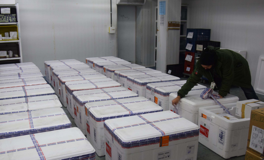 Foto: Américo Antonio/SESA