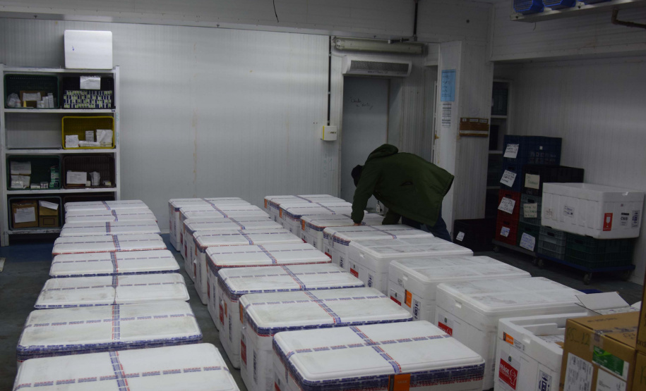 Foto: Américo Antonio/SESA