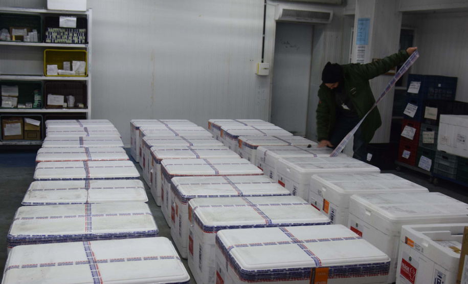 Foto: Américo Antonio/SESA