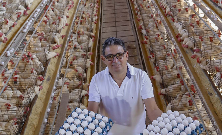 Produção de ovo - Granja feliz.
Dirceu Pontalti Cortez.
Arapongas-Pr - 04-2021
Gilson Abreu/AEN