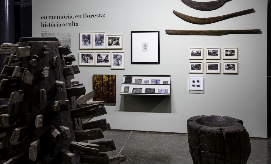 Museu Paranaense reabre neste sábado com quatro mostras inéditas . “Eu Memória, Eu Floresta: História Oculta - Curitiba, 06/05/2021 - Foto: Marcelo Almeida