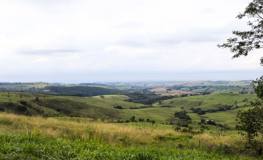 O preço das terras aptas para atividades agropecuárias teve elevação superior a 50% no período de um ano no Paraná. Foto: Geraldo Bubniak/AEN