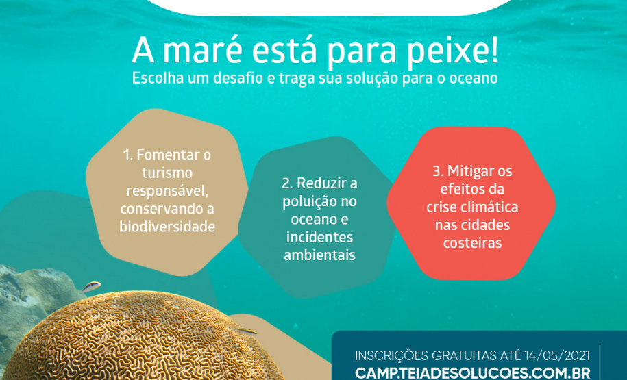 Com o objetivo de estimular o desenvolvimento de soluções para desafios ambientais contemporâneos, a Fundação Grupo Boticário lançou nos últimos dias, nova edição da teia de soluções, processo de cocriação de projetos, capacitação, mentoria e apoio técnico e financeiro