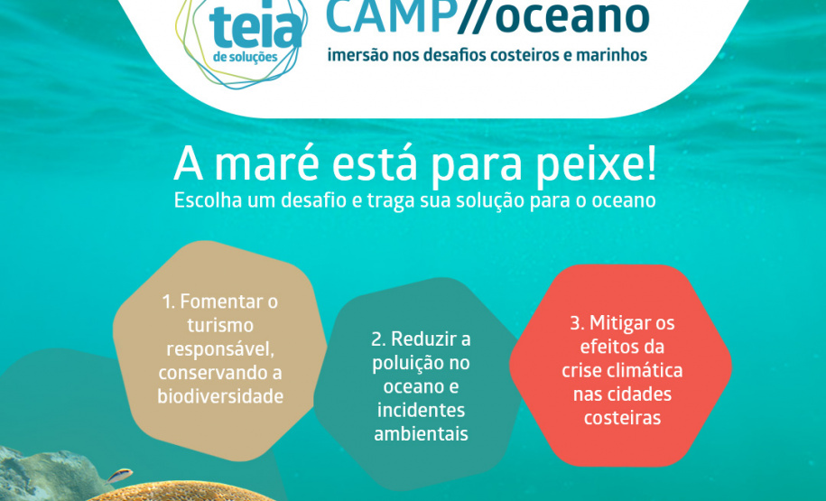 Com o objetivo de estimular o desenvolvimento de soluções para desafios ambientais contemporâneos, a Fundação Grupo Boticário lançou nos últimos dias, nova edição da teia de soluções, processo de cocriação de projetos, capacitação, mentoria e apoio técnico e financeiro