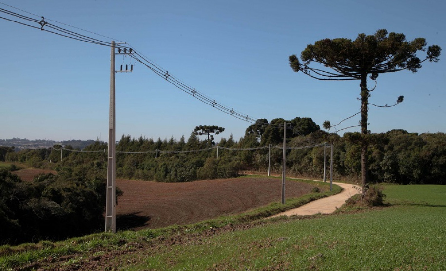 Trifásico Copel investe R$ 118 milhões em Cascavel até 2023. Foto:Ari Dias/AEN.