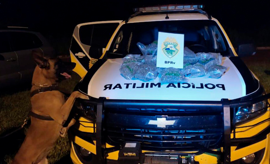 A eficácia dos serviços executados pela Companhia de Operações com Cães (COC) do Batalhão de Operações Especiais (BOPE) da Polícia Militar do Paraná (PMPR) elevou os números de apreensões de drogas e armas de fogos nos últimos 16 meses