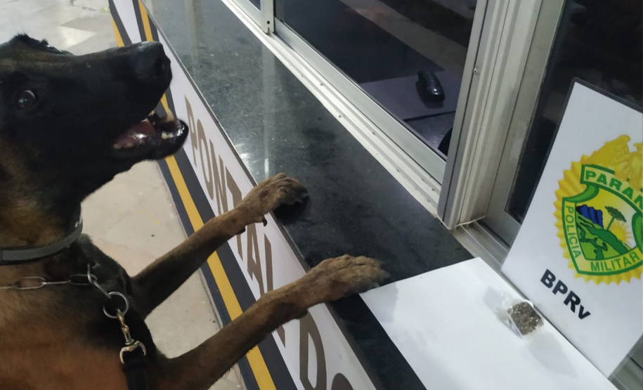 A eficácia dos serviços executados pela Companhia de Operações com Cães (COC) do Batalhão de Operações Especiais (BOPE) da Polícia Militar do Paraná (PMPR) elevou os números de apreensões de drogas e armas de fogos nos últimos 16 meses