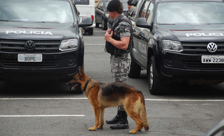 A eficácia dos serviços executados pela Companhia de Operações com Cães (COC) do Batalhão de Operações Especiais (BOPE) da Polícia Militar do Paraná (PMPR) elevou os números de apreensões de drogas e armas de fogos nos últimos 16 meses