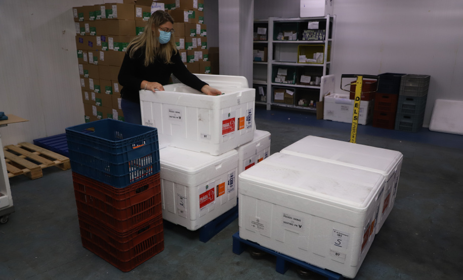 O Paraná recebeu neste sábado (08) mais 57.800 doses da vacina contra a Covid-19. O imunizante é o CoronaVac, produzido em parceria pela farmacêutica chinesa Sinovac e o Instituto Butantan, de São Paulo.  Foto:Ari Dias/AEN