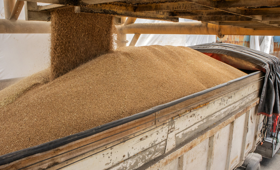 As importações puxaram a movimentação de cargas pelos portos do Paraná no primeiro quadrimestre do ano. Com altas significativas na descarga de produtos dos segmentos de Carga Geral e Granéis Sólidos, os terminais de Paranaguá e Antonina movimentaram 18.262.189 toneladas, de janeiro a abril. - Paranaguá, 10/05/2021 - Foto: Claudio Neves/Portos do Paraná