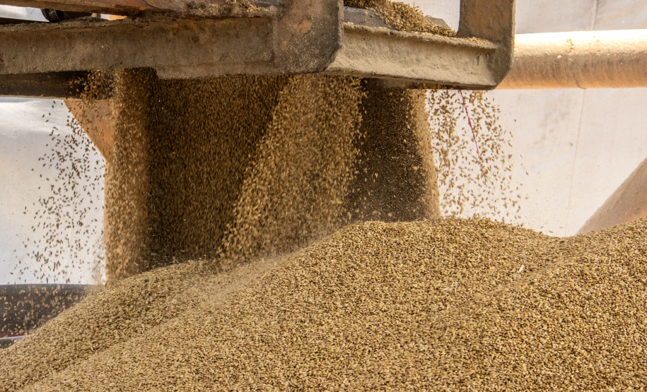 As importações puxaram a movimentação de cargas pelos portos do Paraná no primeiro quadrimestre do ano. Com altas significativas na descarga de produtos dos segmentos de Carga Geral e Granéis Sólidos, os terminais de Paranaguá e Antonina movimentaram 18.262.189 toneladas, de janeiro a abril. - Paranaguá, 10/05/2021 - Foto: Claudio Neves/Portos do Paraná