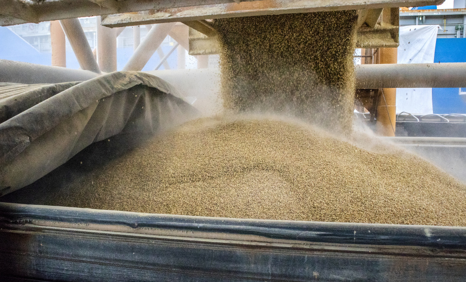 As importações puxaram a movimentação de cargas pelos portos do Paraná no primeiro quadrimestre do ano. Com altas significativas na descarga de produtos dos segmentos de Carga Geral e Granéis Sólidos, os terminais de Paranaguá e Antonina movimentaram 18.262.189 toneladas, de janeiro a abril. - Paranaguá, 10/05/2021 - Foto: Claudio Neves/Portos do Paraná