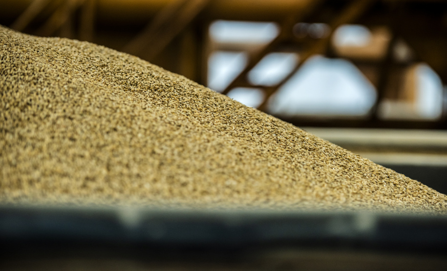 As importações puxaram a movimentação de cargas pelos portos do Paraná no primeiro quadrimestre do ano. Com altas significativas na descarga de produtos dos segmentos de Carga Geral e Granéis Sólidos, os terminais de Paranaguá e Antonina movimentaram 18.262.189 toneladas, de janeiro a abril. - Paranaguá, 10/05/2021 - Foto: Claudio Neves/Portos do Paraná