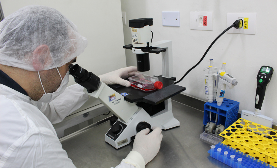 O Instituto de Tecnologia do Paraná (Tecpar) é o primeiro laboratório da Região Sul credenciado pela União Europeia para realizar os exames sorológicos antirrábicos em animais. Com o credenciamento, o Tecpar pode realizar o Teste de Sorologia Antirrábica, que é uma exigência legal para que os animais possam embarcar para União Europeia.  -  Curitiba, 10/05/2021  -  Foto: Tecpar