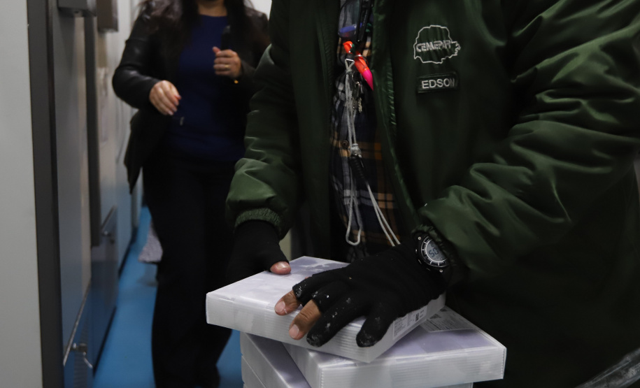 Vacina Pfizer 2 Segundo lote com 67.860 doses da vacina Pfizer/Comirnaty/BioNtech chega no Centro de Medicamentos do Paraná (Cemepar), em Curitiba, na noite desta segunda-feira (10). Foto: Geraldo Bubniak/AEN