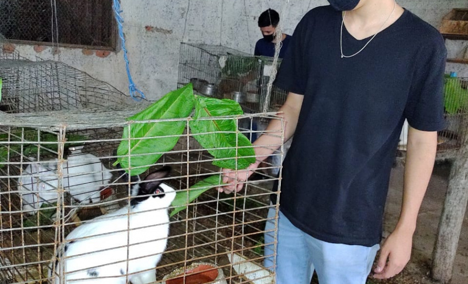 Ensino técnico retoma atividades práticas presenciais
. Foto: SEED