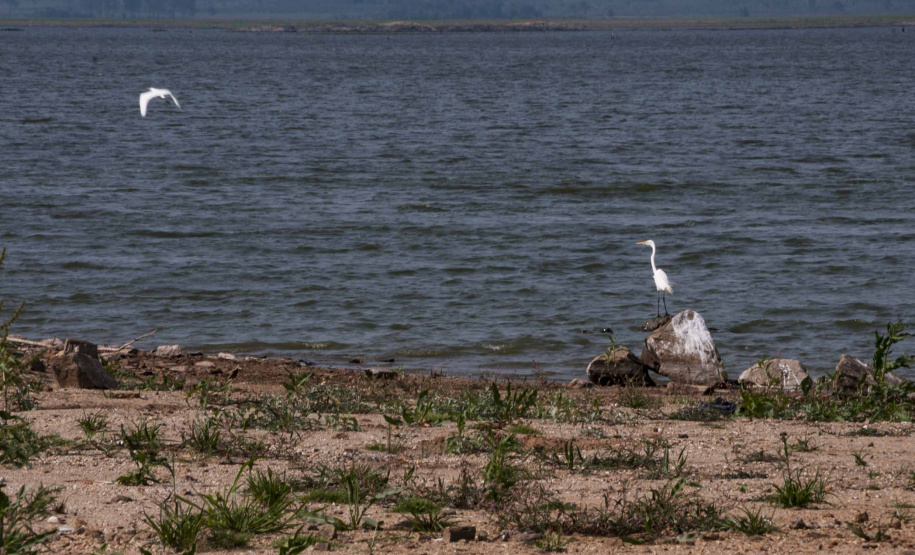 Chuvas de quarta-feira foram oito vezes mais volumosas do que todo o mês de abril
; Foto: Sanepar