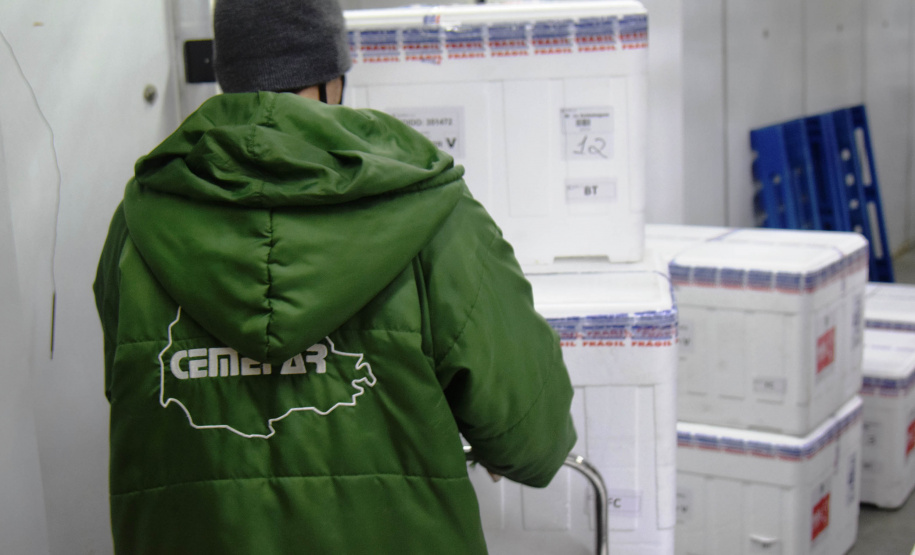 O Paraná recebeu nesta quinta-feira (13) mais 244,8 mil vacinas contra a Covid-19, sendo 118 mil doses da Covishield, produzida pela AstraZeneca e Fiocruz, além de 126.800 doses da CoronaVac, da parceria entre a Sinovac e o Instituto Butantan. Os imunizantes fazem parte da 19ª remessa de distribuição do Ministério da Saúde. - Curitiba, 13/05/2021 - Foto: Américo Antonio/SESA