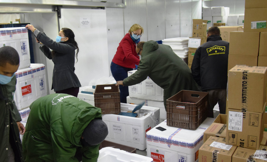 O Paraná recebeu nesta quinta-feira (13) mais 244,8 mil vacinas contra a Covid-19, sendo 118 mil doses da Covishield, produzida pela AstraZeneca e Fiocruz, além de 126.800 doses da CoronaVac, da parceria entre a Sinovac e o Instituto Butantan. Os imunizantes fazem parte da 19ª remessa de distribuição do Ministério da Saúde. - Curitiba, 13/05/2021 - Foto: Américo Antonio/SESA