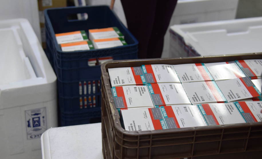 O Paraná recebeu nesta quinta-feira (13) mais 244,8 mil vacinas contra a Covid-19, sendo 118 mil doses da Covishield, produzida pela AstraZeneca e Fiocruz, além de 126.800 doses da CoronaVac, da parceria entre a Sinovac e o Instituto Butantan. Os imunizantes fazem parte da 19ª remessa de distribuição do Ministério da Saúde. - Curitiba, 13/05/2021 - Foto: Américo Antonio/SESA