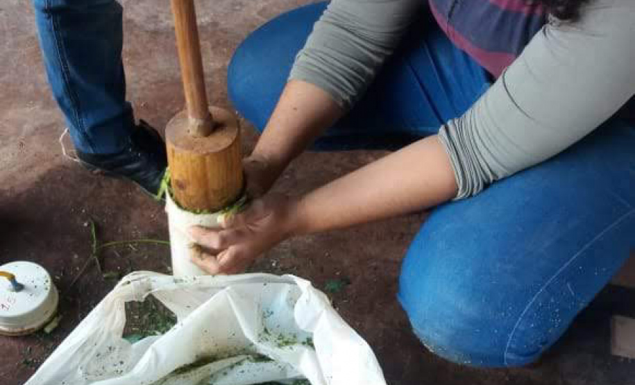 Mestranda do programa de Pós-graduação em Zootecnia da Universidade Estadual do Oeste do Paraná, campus de Marechal Cândido Rondon, a zootecnista Ida Barbosa de Andrade conquista segundo lugar no concurso de dissertações "Tech Women Paper Contest", que faz parte do evento "Tech Women Summit", para que pesquisadoras da área de STEM - "science, technology, engineering, and mathematics" - Cascavel, 13/05/2021 - Foto: UNIOESTE