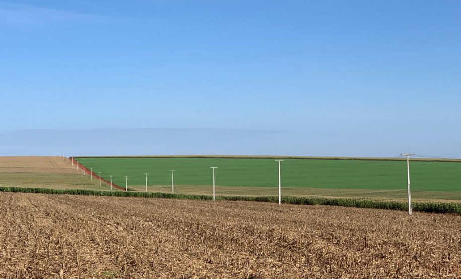 A Copel está iniciando a construção de uma subestação na região leste de Cianorte, que irá reforçar o sistema de alta tensão para atendimento ao município e também para as cidades vizinhas. - Foto: Copel