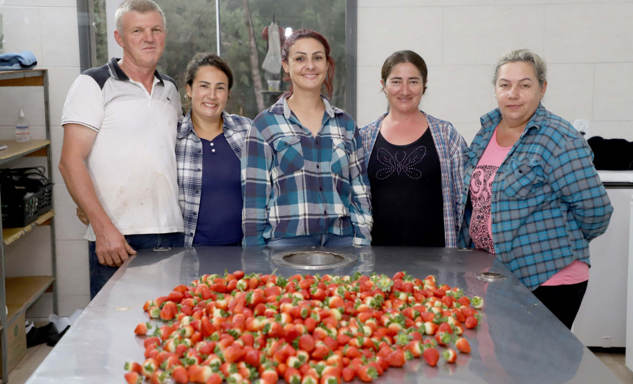 Produção de morango se destaca na região de Curitiba e cresce em todo Paraná. Na foto, Rosana Gabardo Pallu e José Marcos Pallu. Foto: Ari Dais/AEN