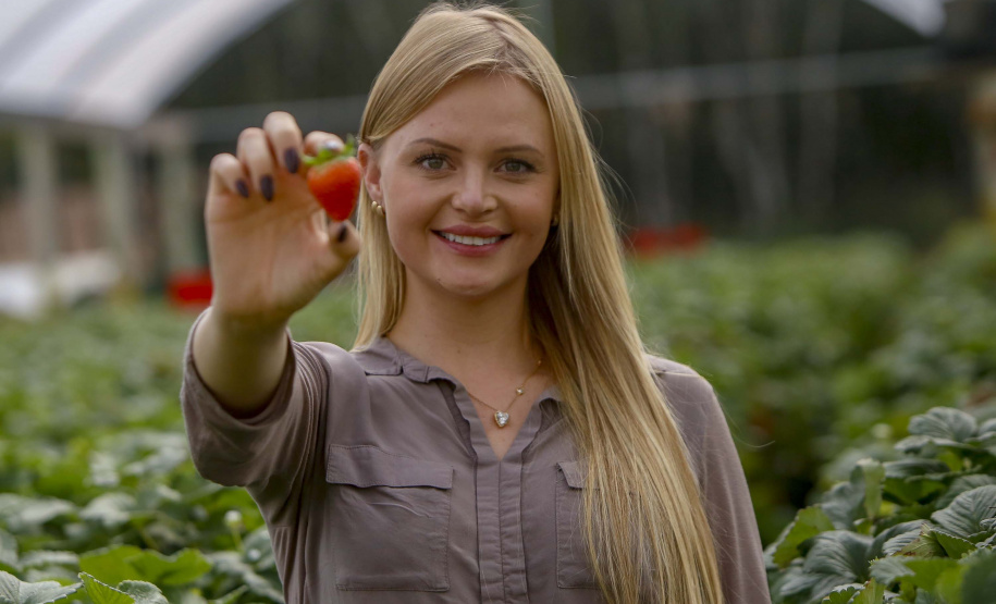 Morango
Alessandra Clemente ? secretária de agricultura
Foto Gilson Abreu/AEN