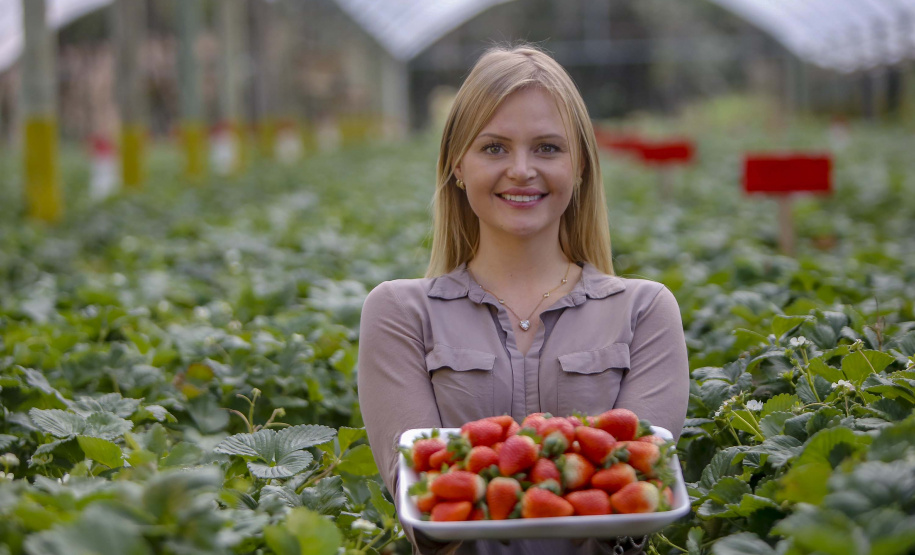 Morango
Foto Gilson Abreu/AEN