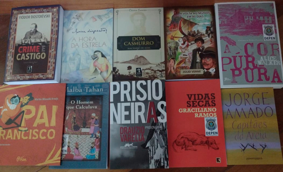O Departamento Penitenciário do Paraná recebeu do Ministério da Justiça e Segurança Pública, via Departamento Penitenciário Nacional (Depen), 13.930 livros de literatura, que serão distribuídos até o final deste mês nos espaços de acervo bibliográfico, nas penitenciárias do Estado do Paraná. - Foto: Depen/PR