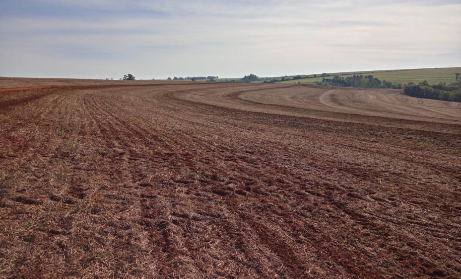 Em 15 de maio, o Paraná dá início ao combate à ferrugem asiática da soja. Nesta data termina o prazo para a colheita ou dessecação da oleaginosa, com o objetivo de preparar as áreas de cultivo para o vazio sanitário, período no qual é proibido semear ou manter plantas vivas de soja no campo. - Curitiba, 14/05/2021 - Foto: Camila Roberta Javorski Ueno/Adapar