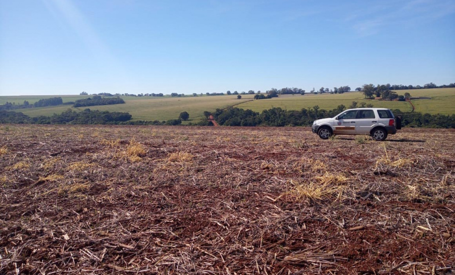 Em 15 de maio, o Paraná dá início ao combate à ferrugem asiática da soja. Nesta data termina o prazo para a colheita ou dessecação da oleaginosa, com o objetivo de preparar as áreas de cultivo para o vazio sanitário, período no qual é proibido semear ou manter plantas vivas de soja no campo. - Curitiba, 14/05/2021 - Foto: Camila Roberta Javorski Ueno/Adapar
