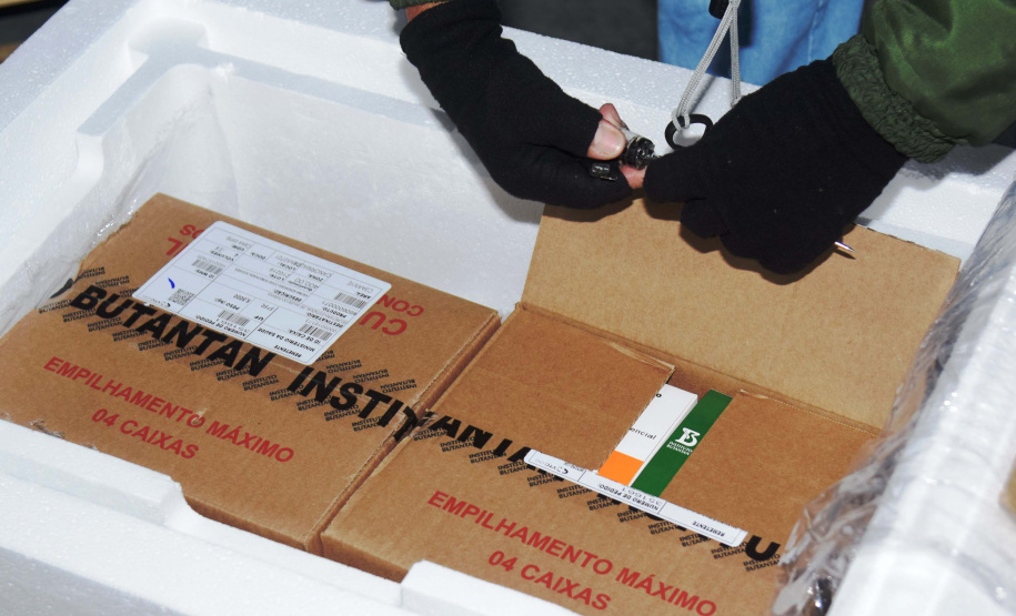 O Paraná recebeu mais 62 mil doses da vacina Coronavac, da parceria entre Sinovac e Instituto Butantan, nesta sexta-feira (14). As doses se referem a uma atualização na 19ª pauta de distribuição de vacinas contra a Covid-19 do Ministério da Saúde.Foto: Américo Antonio/SESA